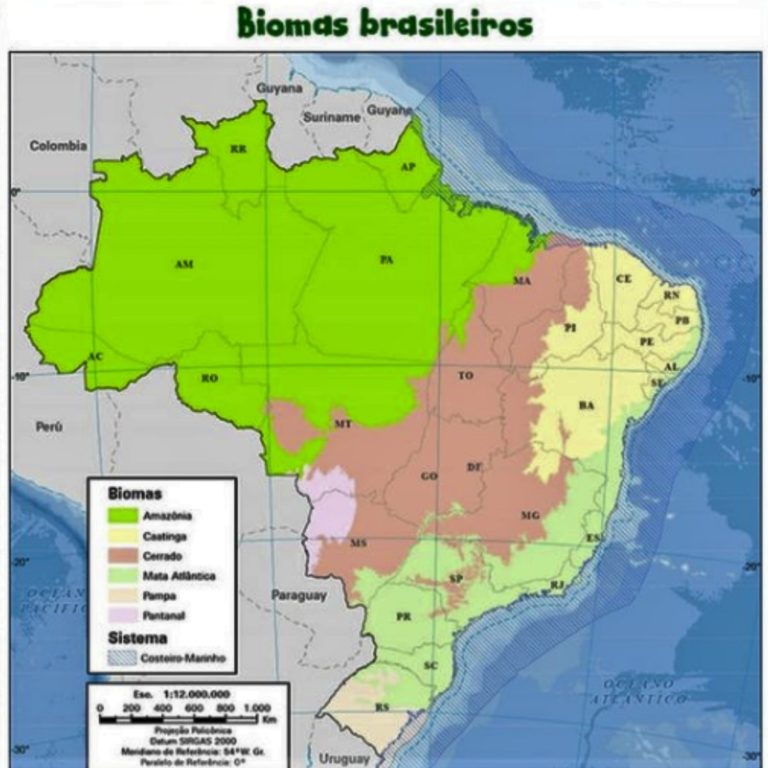 Brasil: Biomas - Disciplina - Geografia