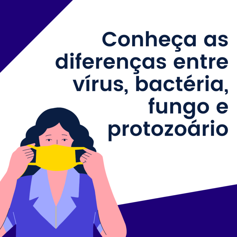 vírus, bactéria, fungo e protozoário