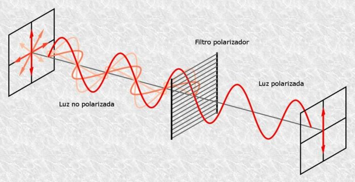 polarização