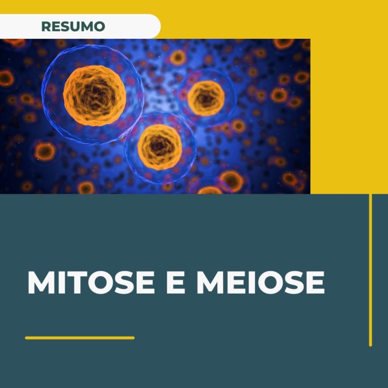 mitose e meiose