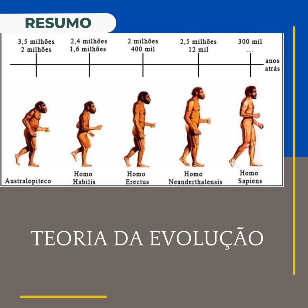 Teoria Da Evolução: Resumos Da Milênio Reforço Escolar