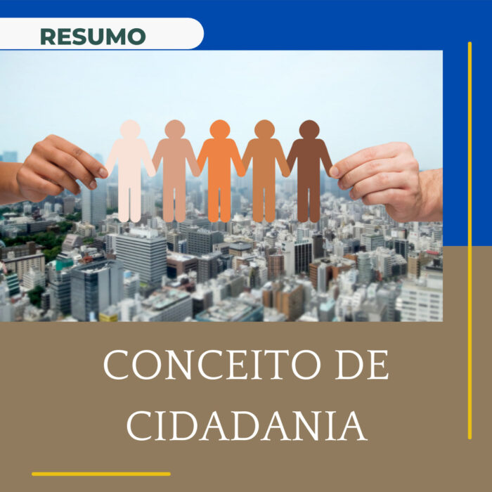 Conceito De Cidadania: Resumo Da Milênio Reforço Escolar