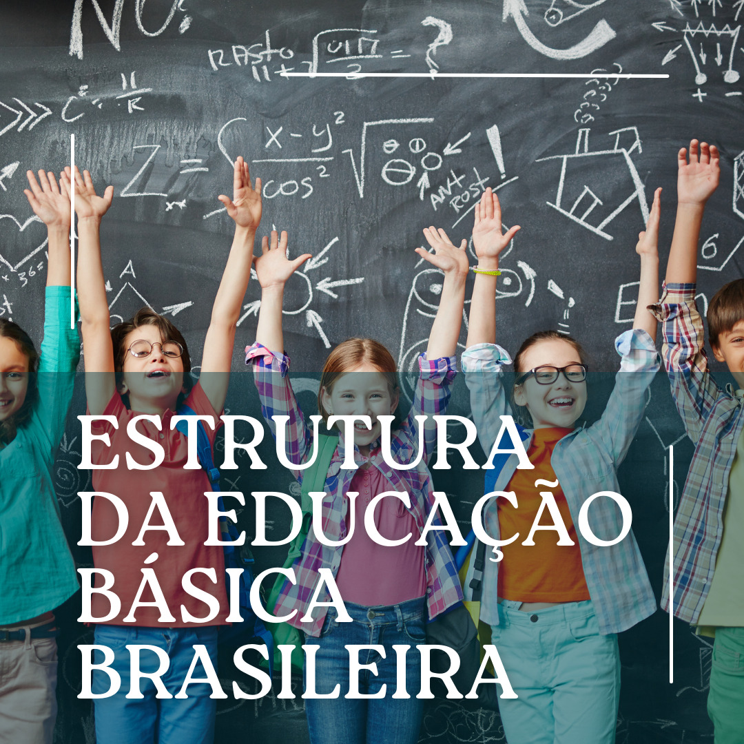 Saiba como é a divisão do sistema de educação brasileiro